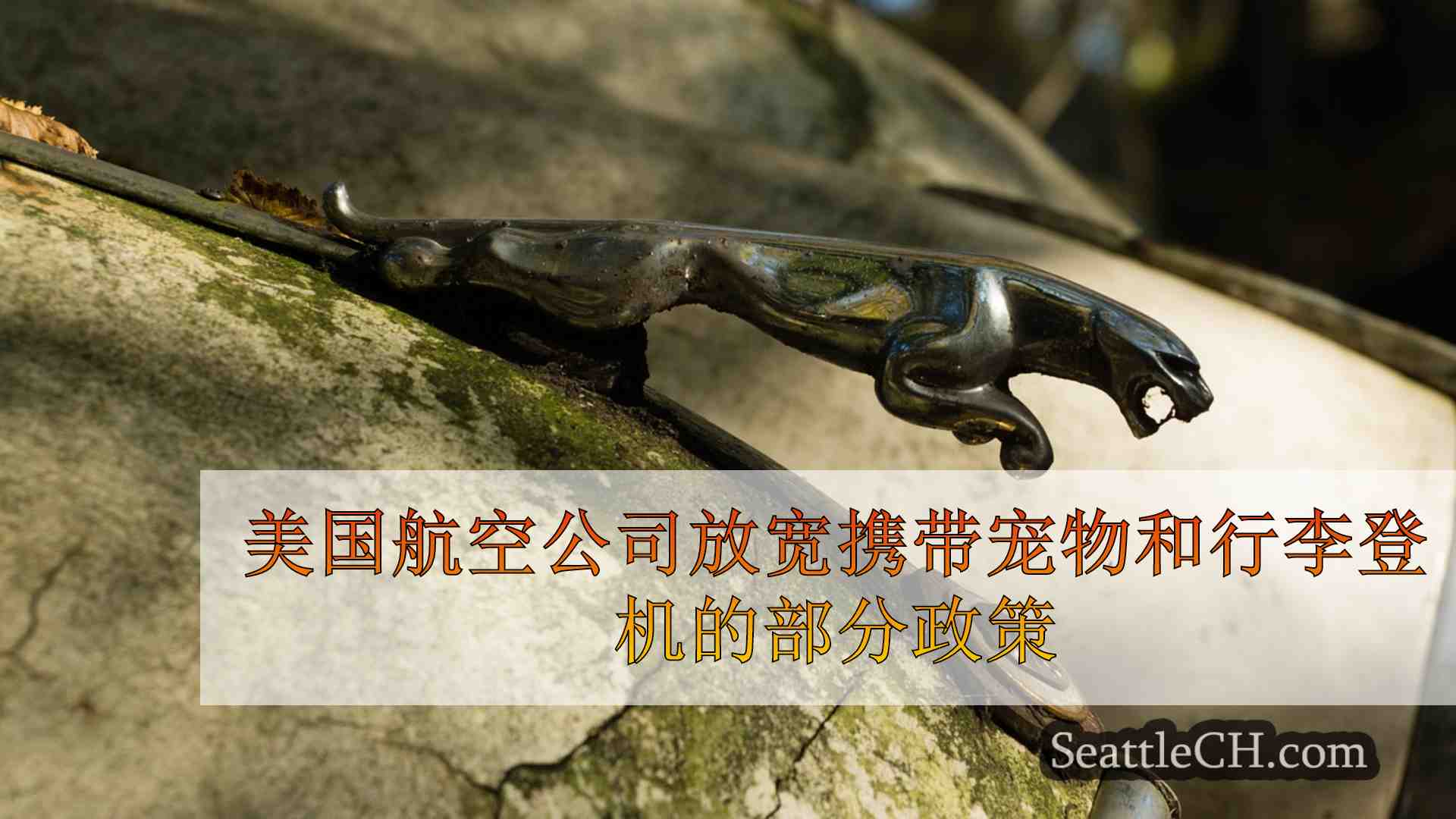 西雅图新闻 SeattleCH