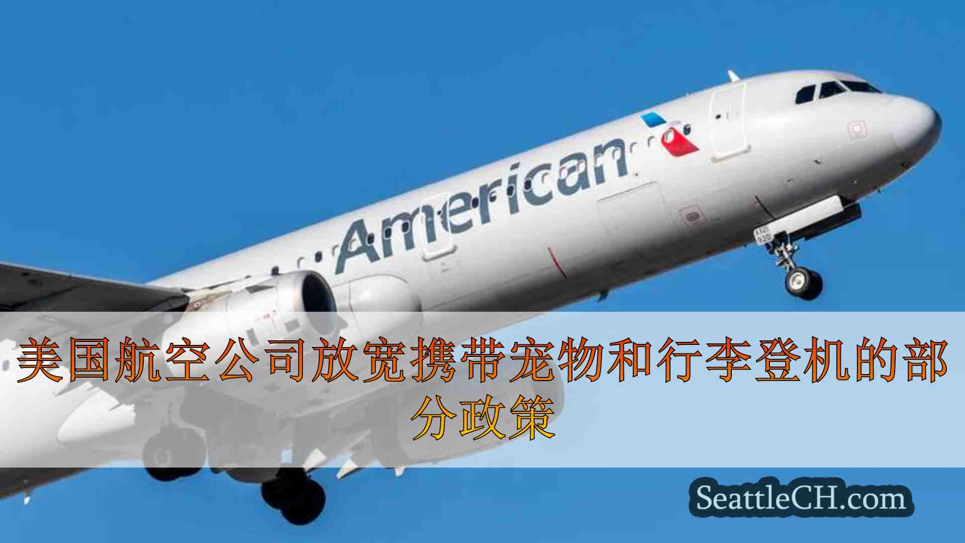 美国航空公司放宽携带宠物和行李登机的部分政策