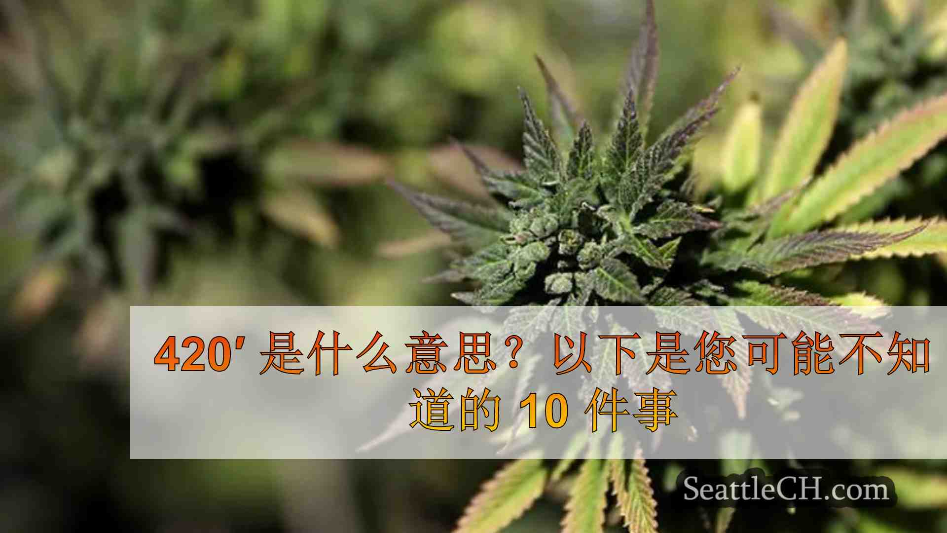 420′ 是什么意思？以下是您可能不知道的 10 件事