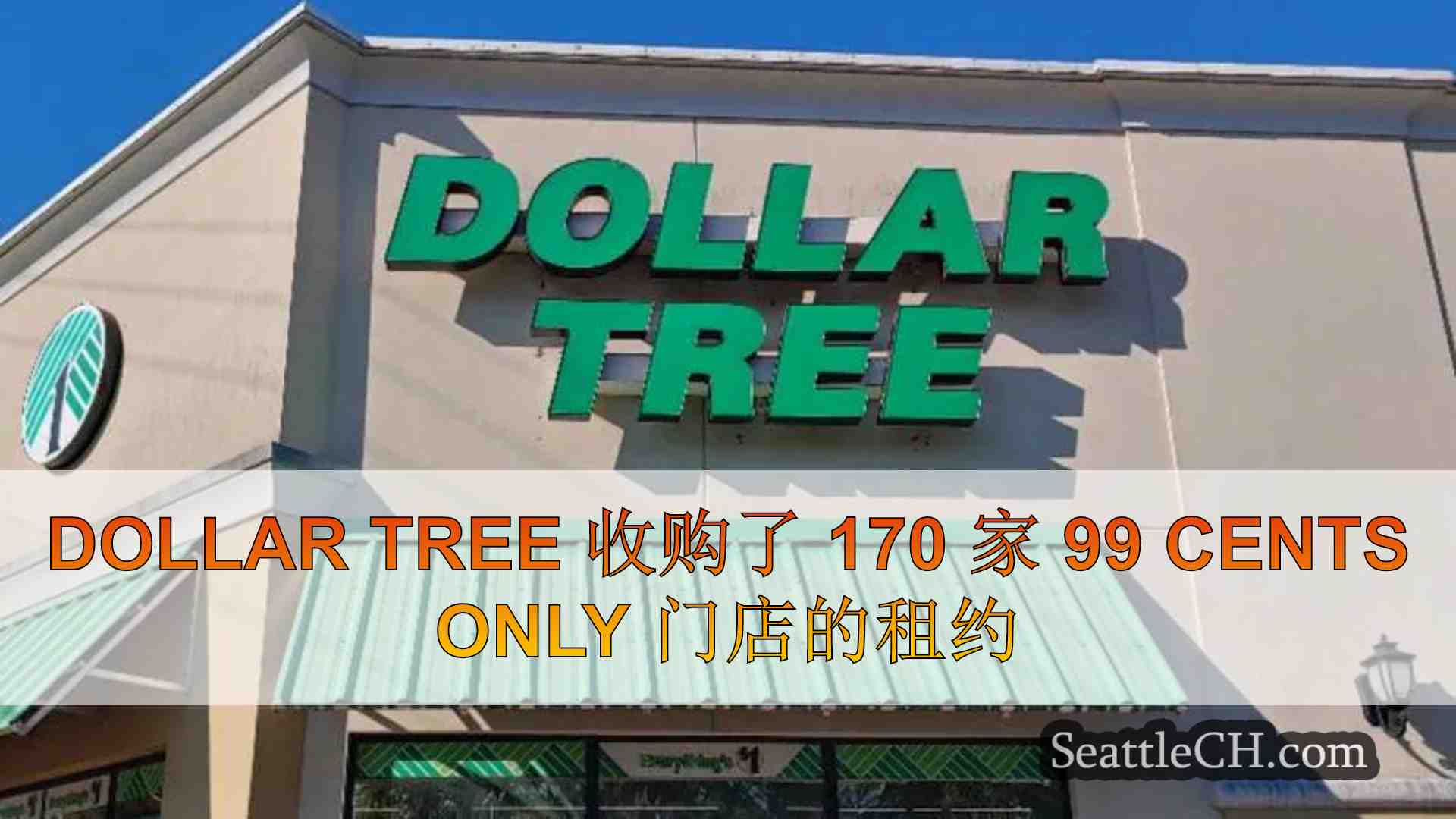 Dollar Tree 收购了 170 家 99 Cents Only