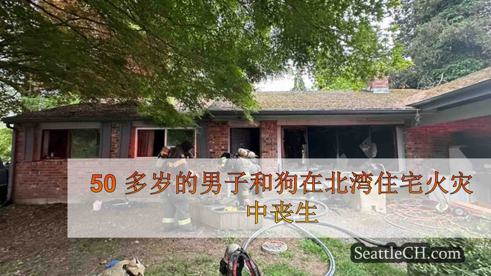 50 多岁的男子和狗在北湾住宅火灾中丧生