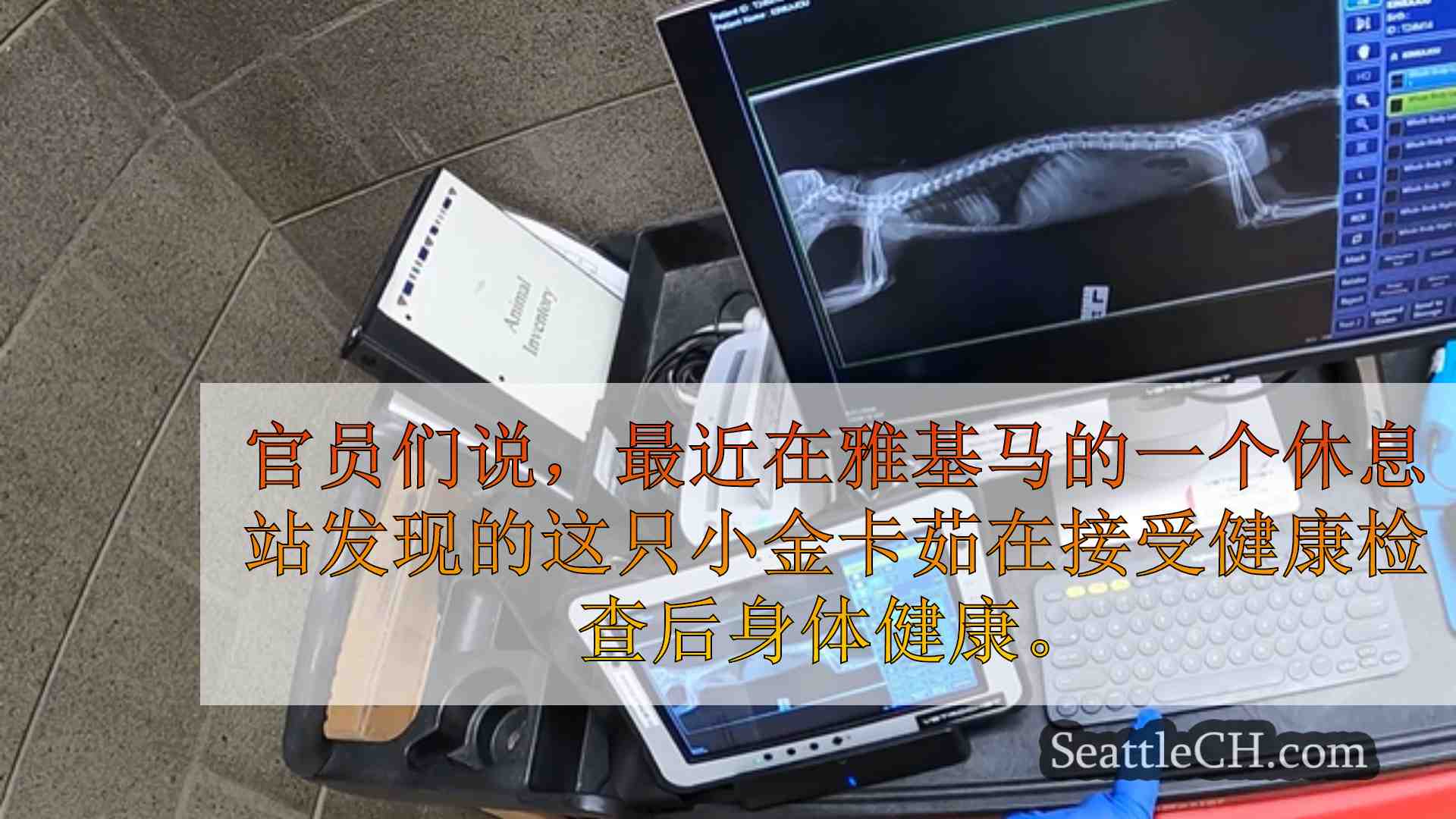 西雅图新闻 SeattleCH
