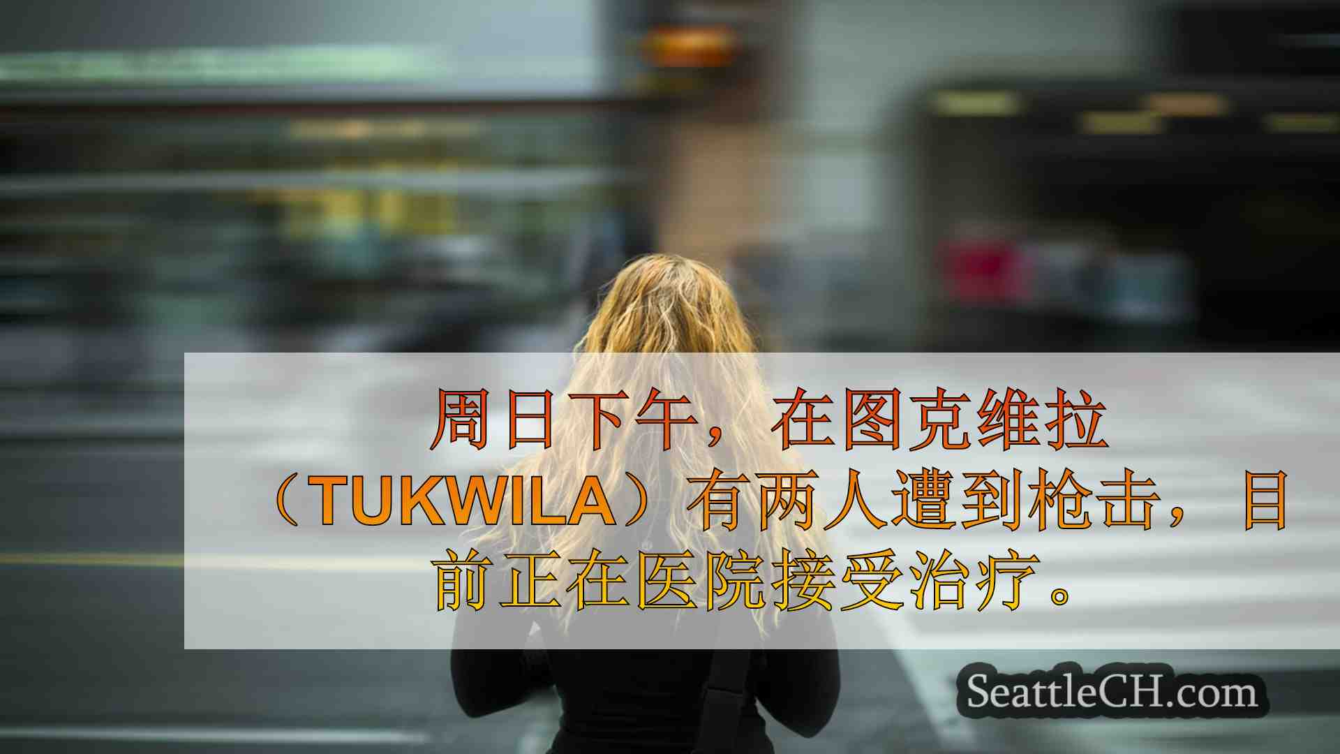 西雅图新闻 SeattleCH