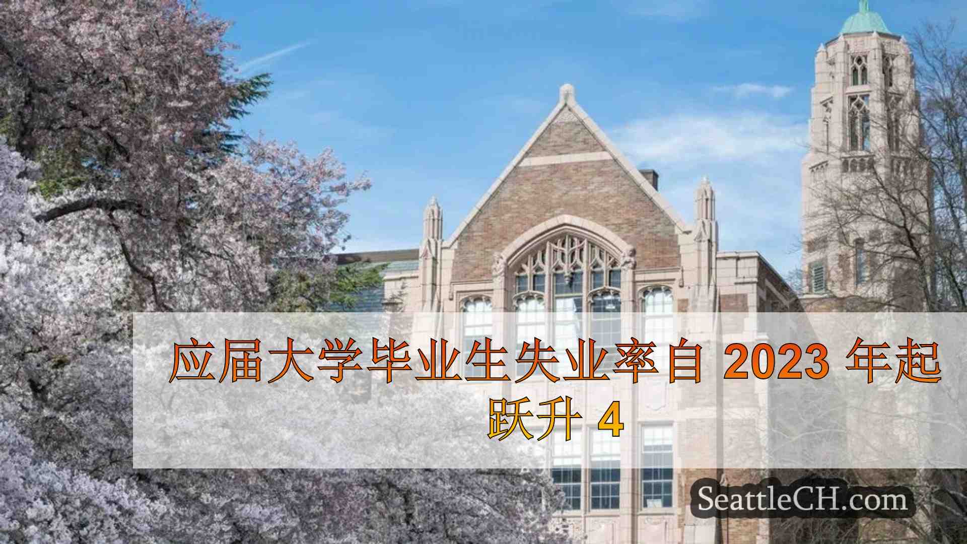 应届大学毕业生失业率自 2023 年起跃升 4