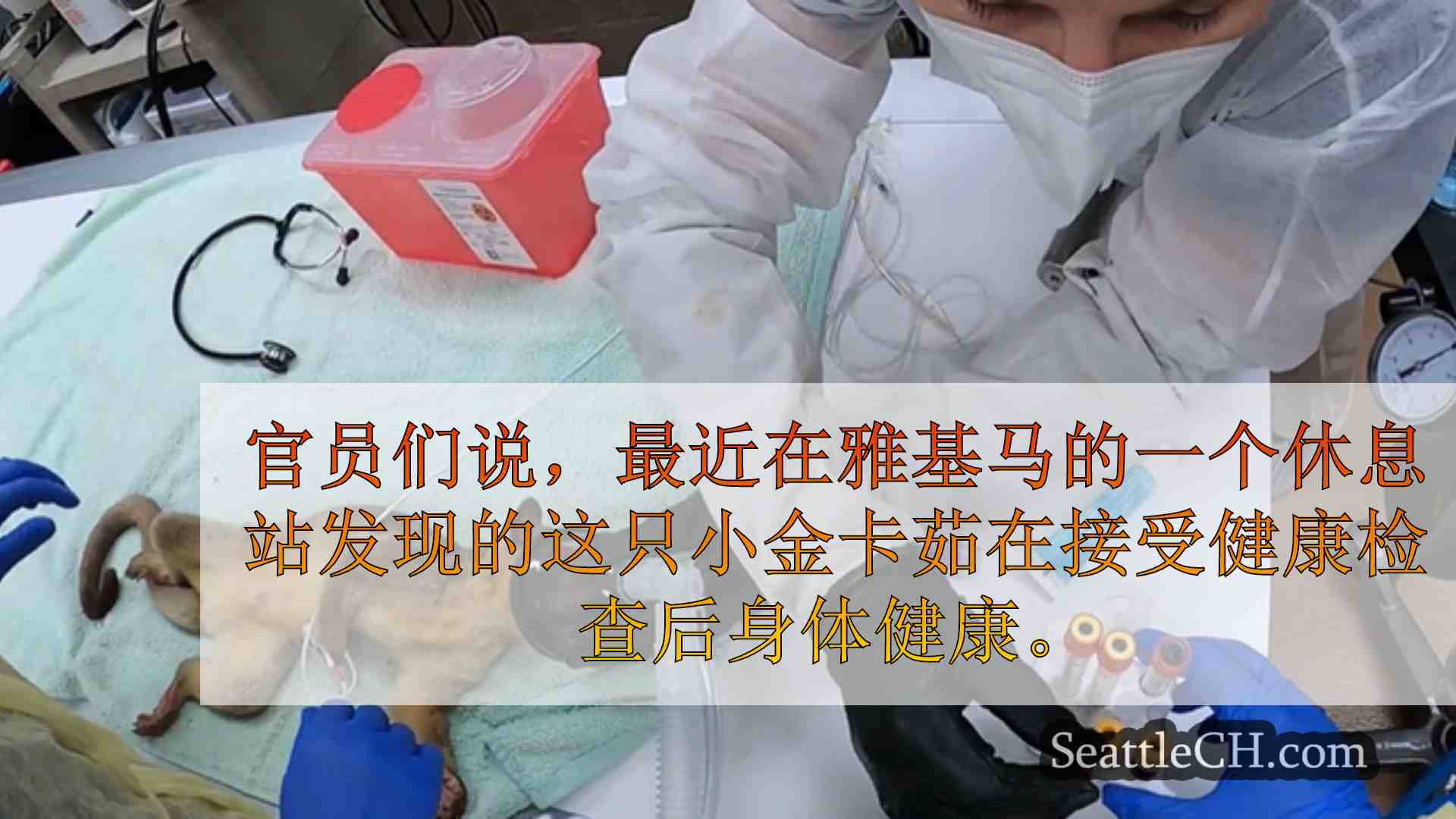 西雅图新闻 SeattleCH