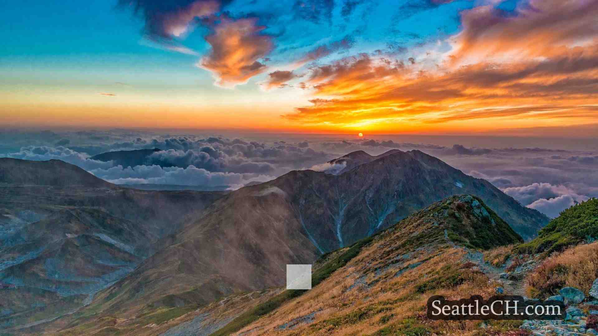 西雅图新闻 SeattleCH