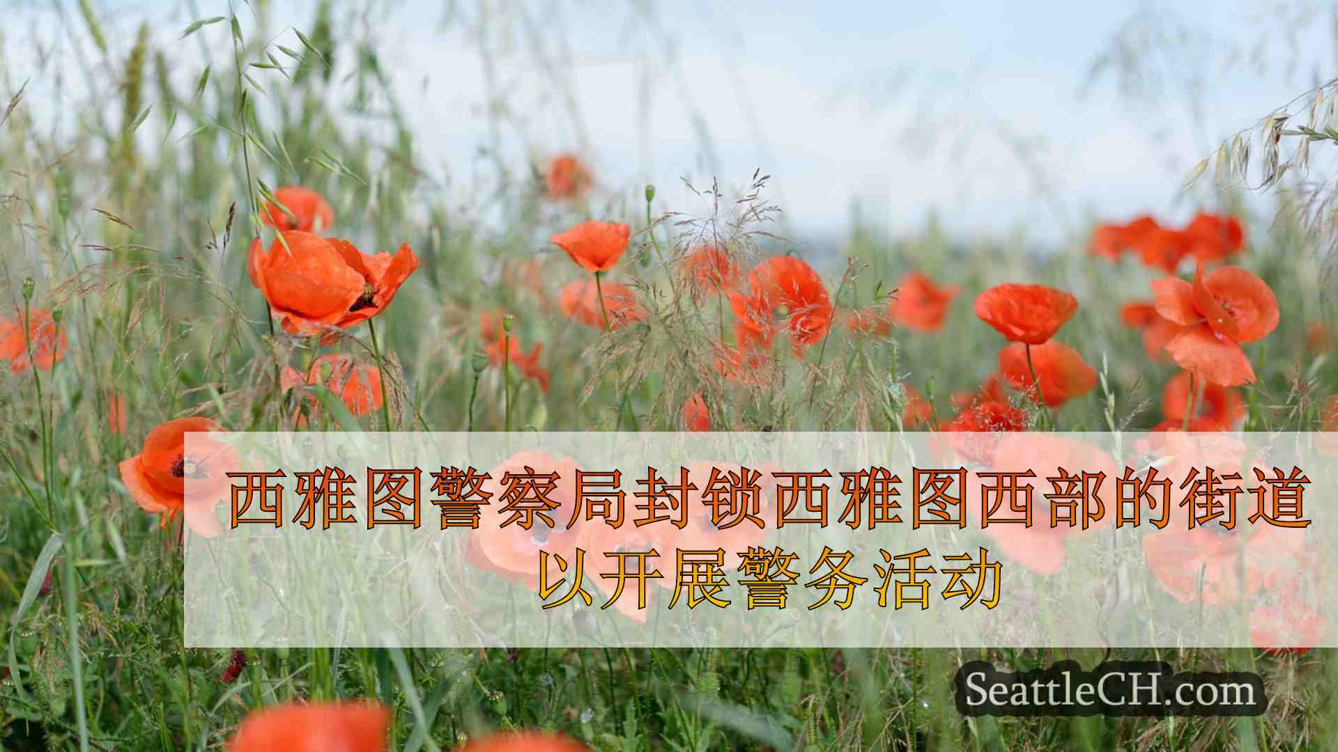 西雅图新闻 SeattleCH