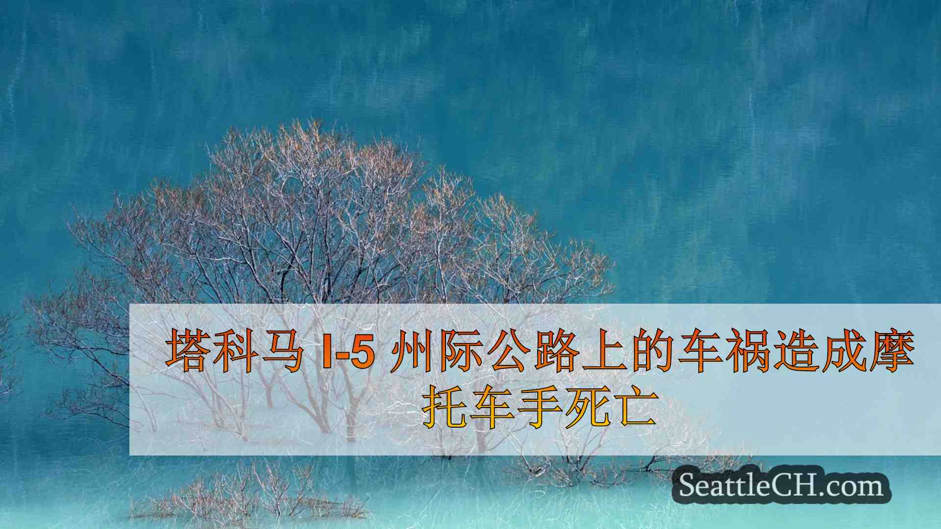 西雅图新闻 SeattleCH