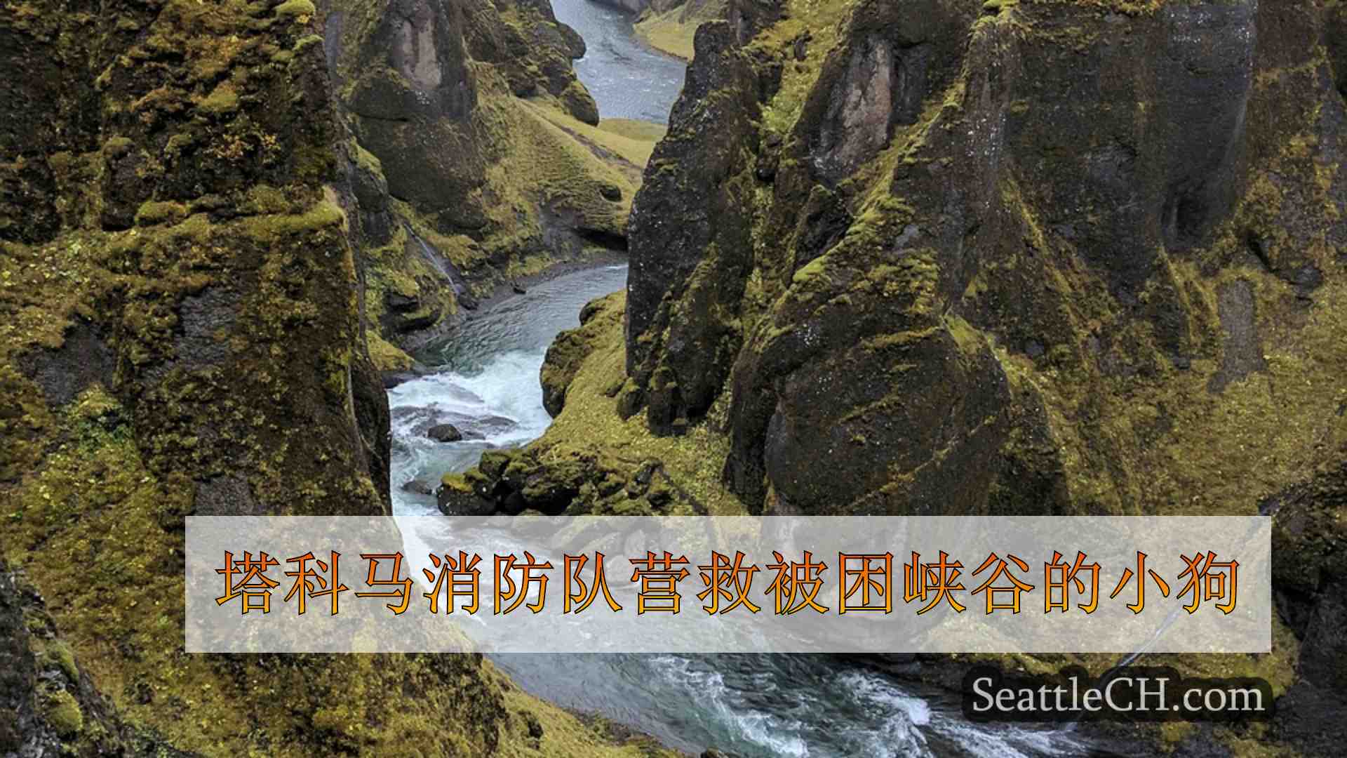西雅图新闻 SeattleCH