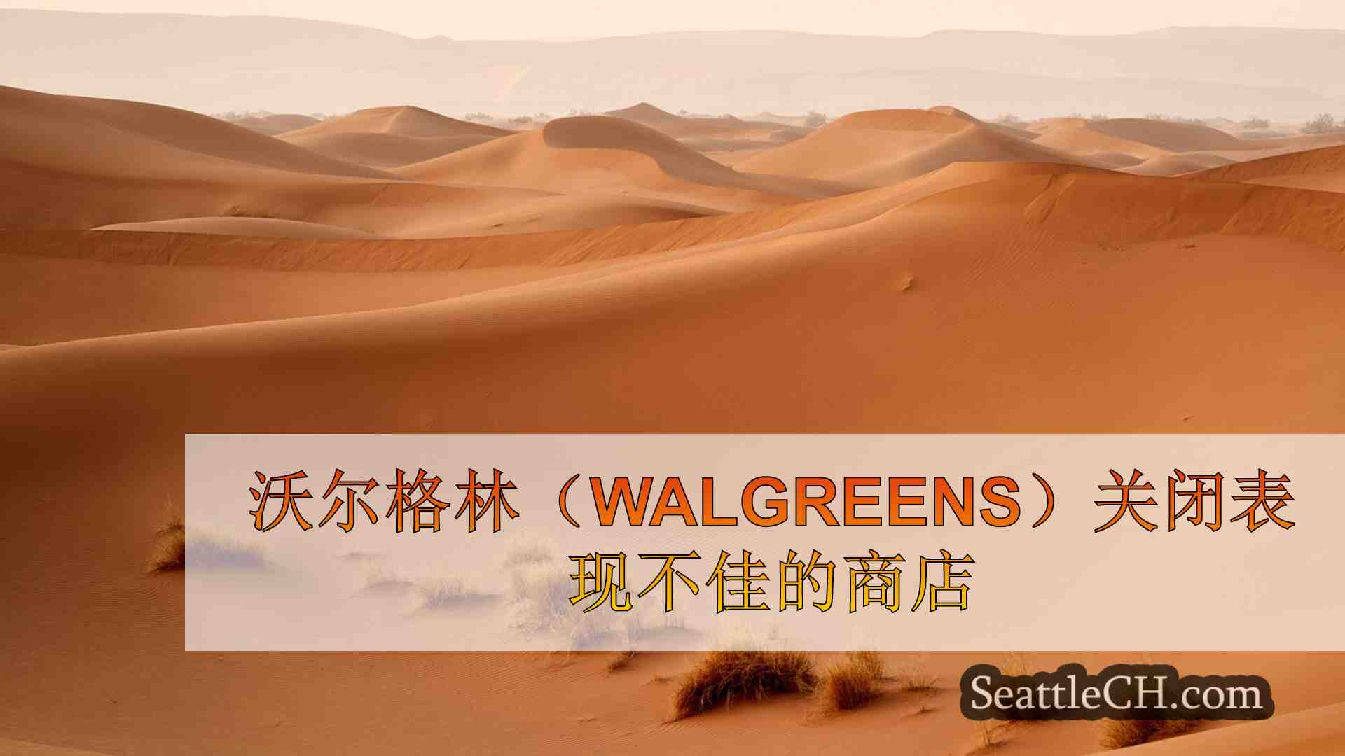 西雅图新闻 SeattleCH