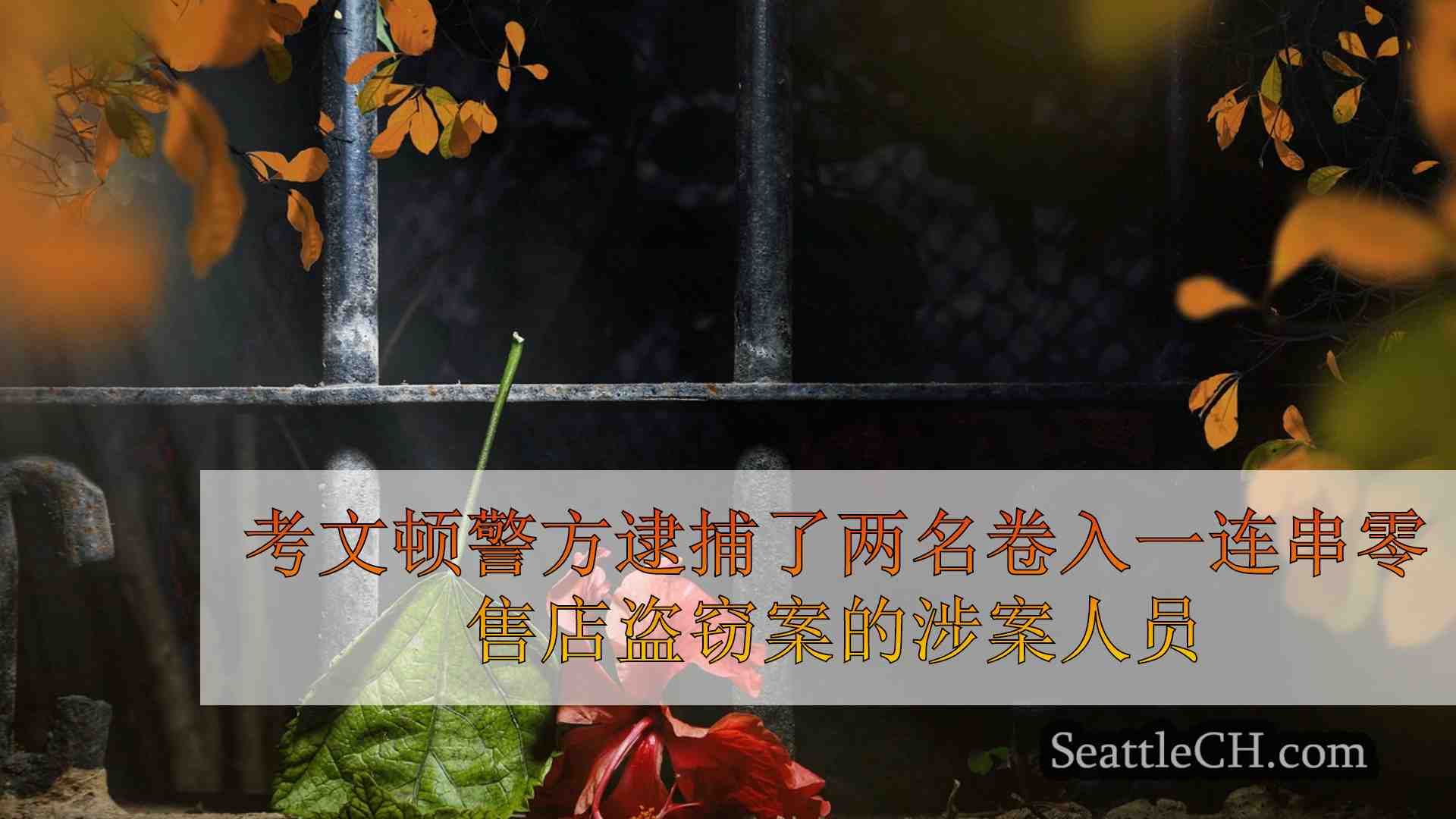 西雅图新闻 SeattleCH