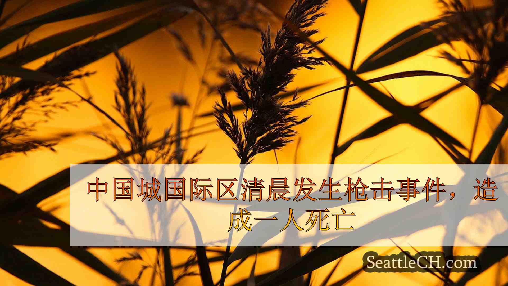 西雅图新闻 SeattleCH