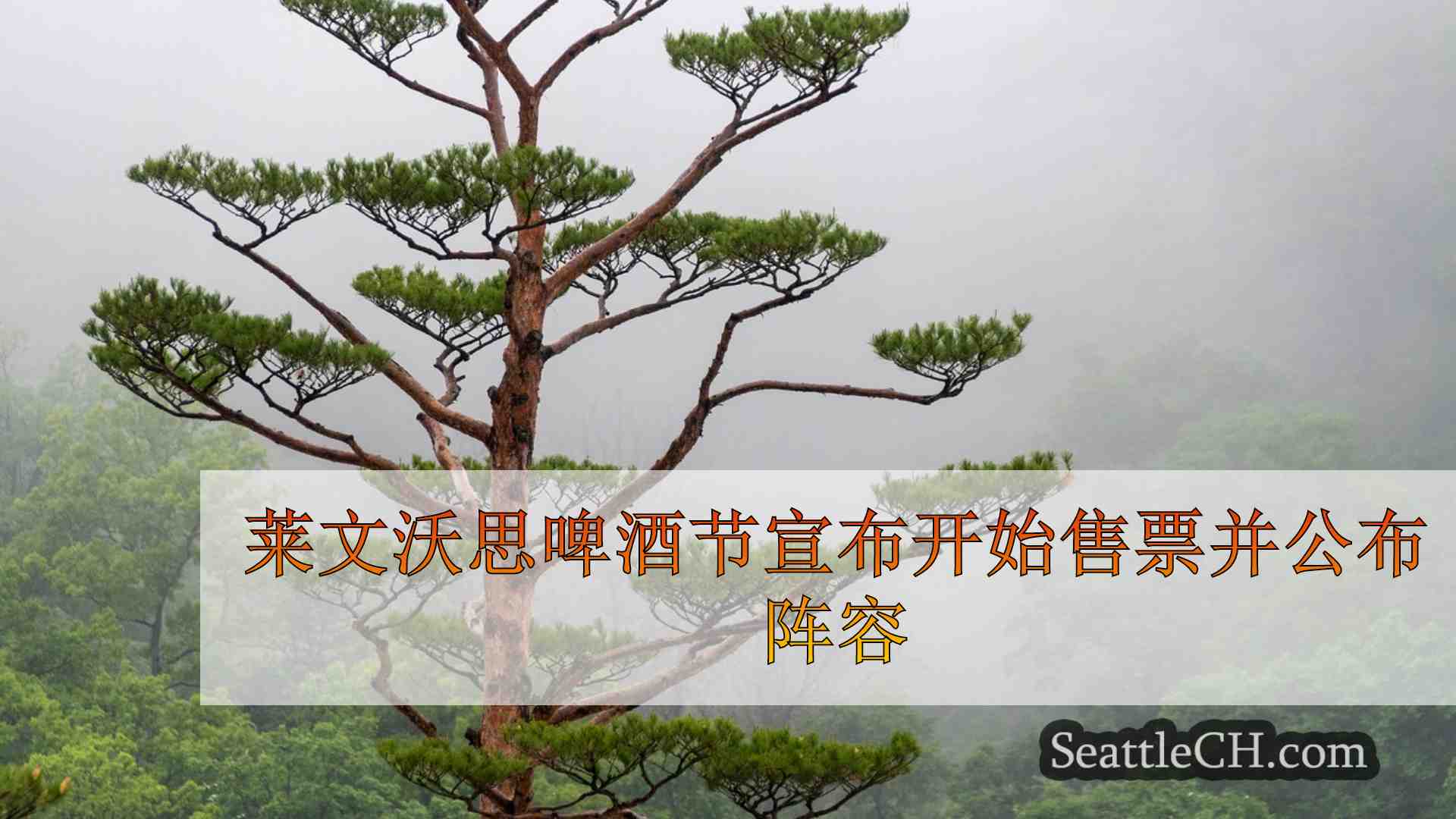 西雅图新闻 SeattleCH