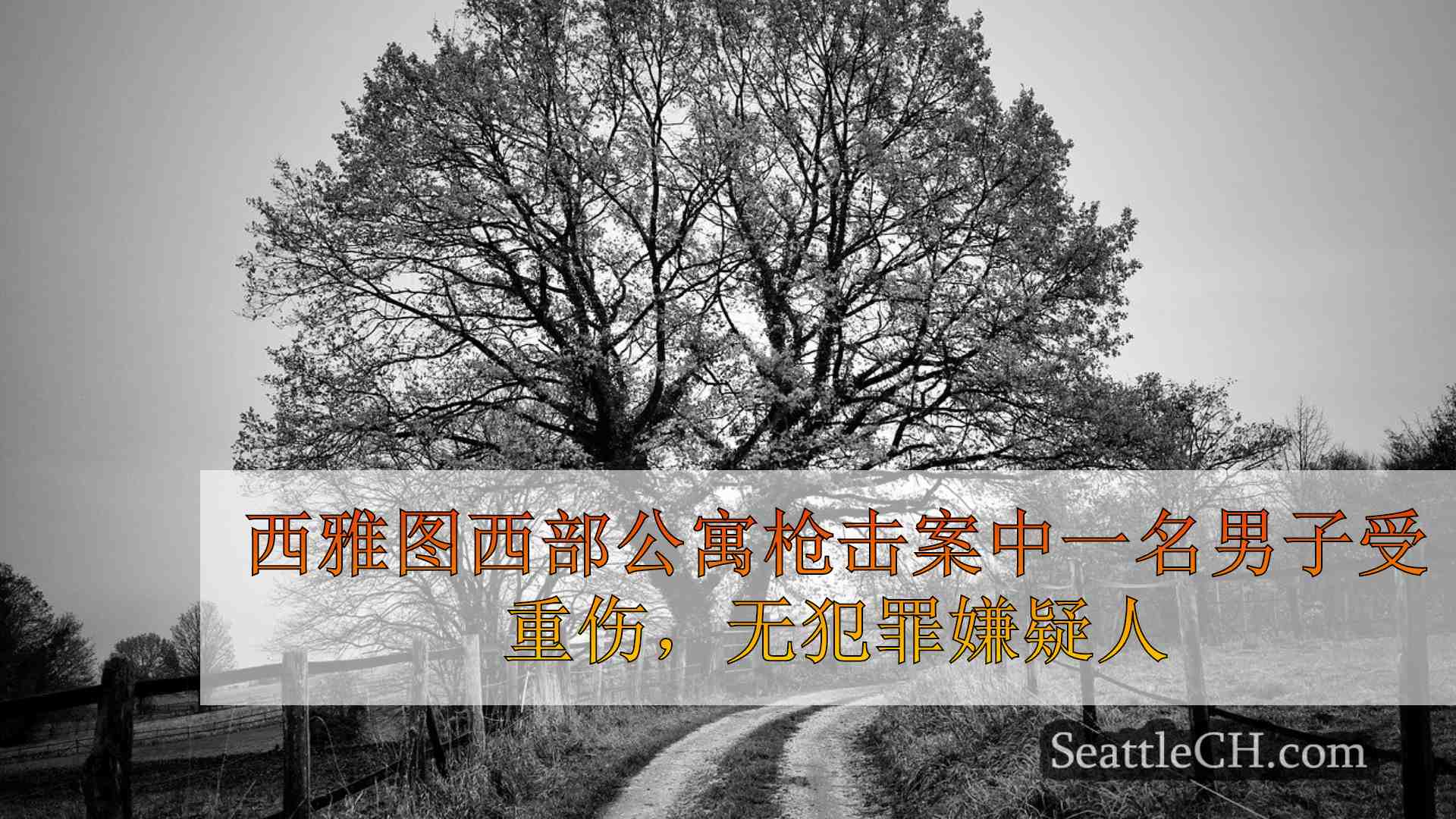 西雅图新闻 SeattleCH