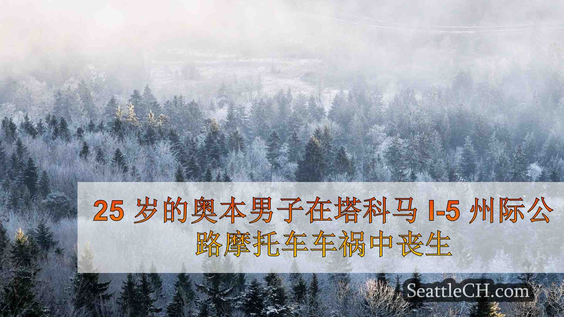 西雅图新闻 SeattleCH