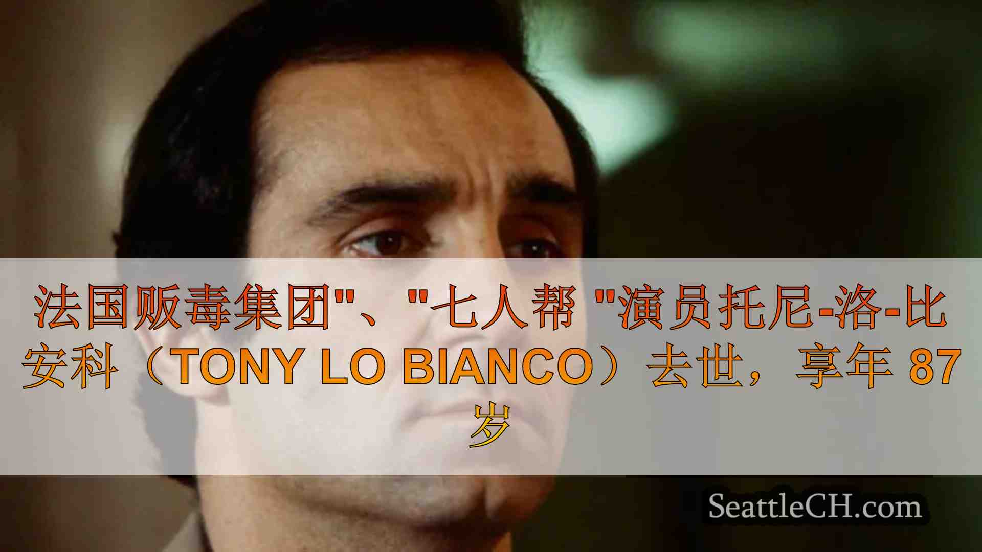 法国贩毒集团、七人帮 演员托尼-洛-比安科（Tony Lo