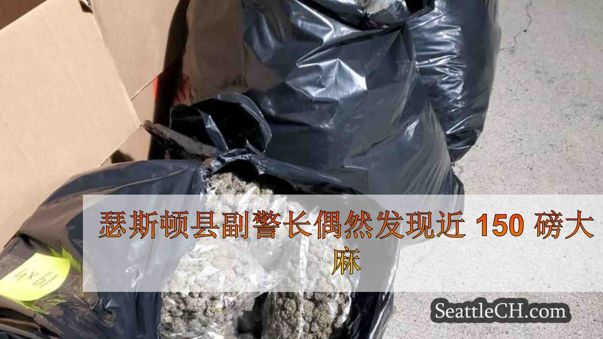 瑟斯顿县副警长偶然发现近 150 磅大麻