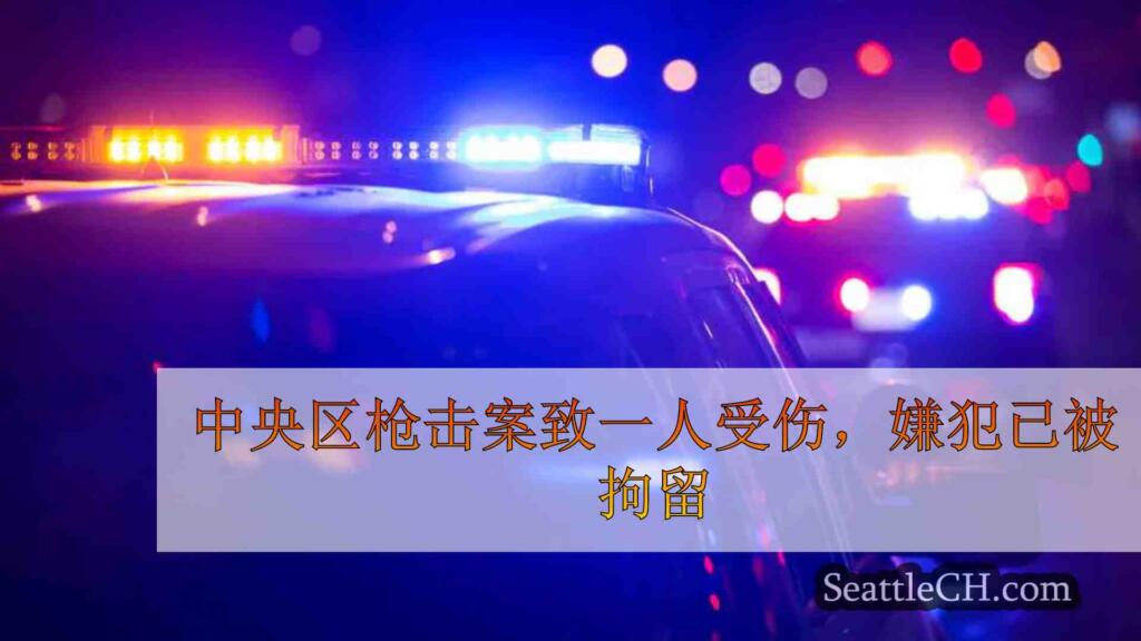中央区枪击案致一人受伤，嫌犯已被拘留