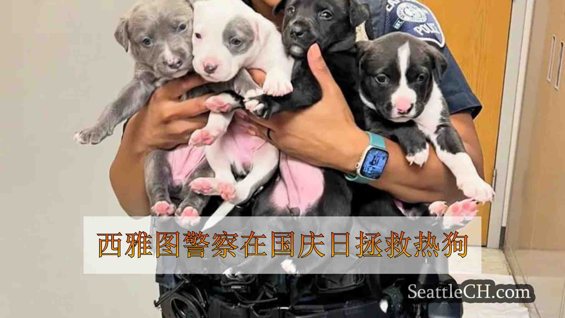 西雅图警察在国庆日拯救热狗