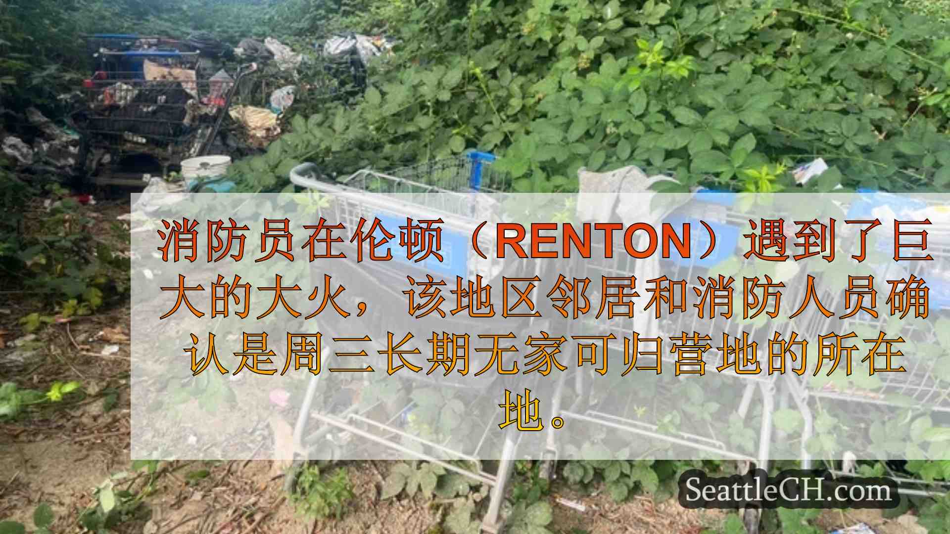 西雅图新闻 SeattleCH