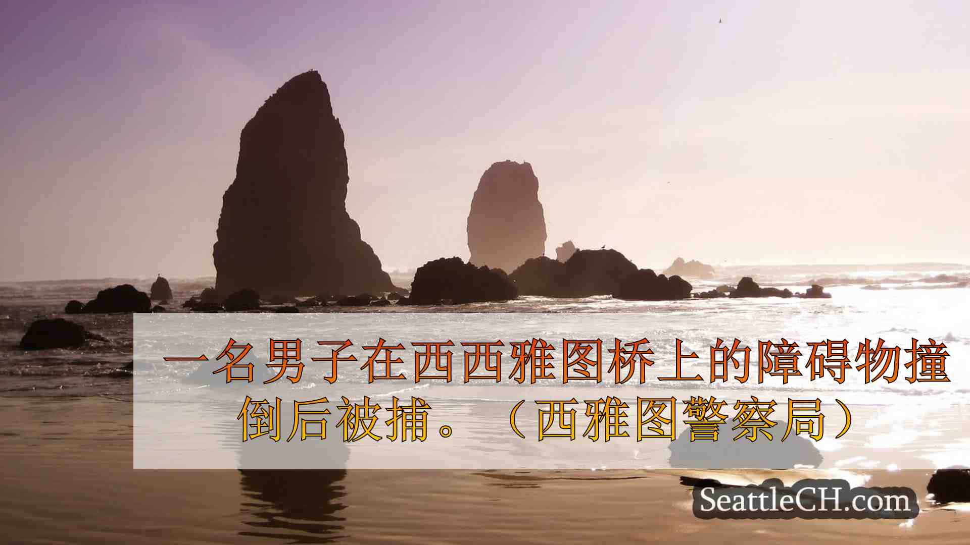 西雅图新闻 SeattleCH