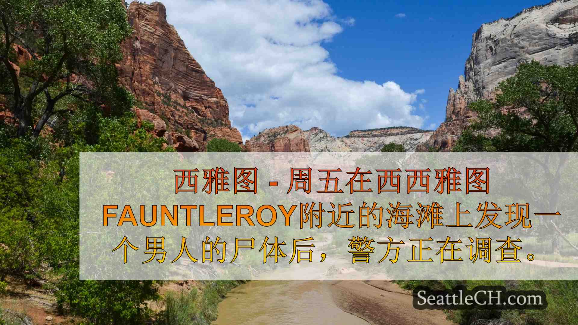 西雅图新闻 SeattleCH