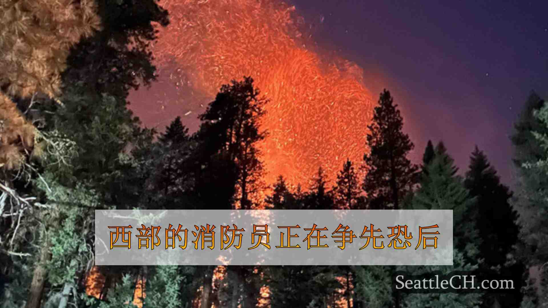 西雅图新闻 SeattleCH