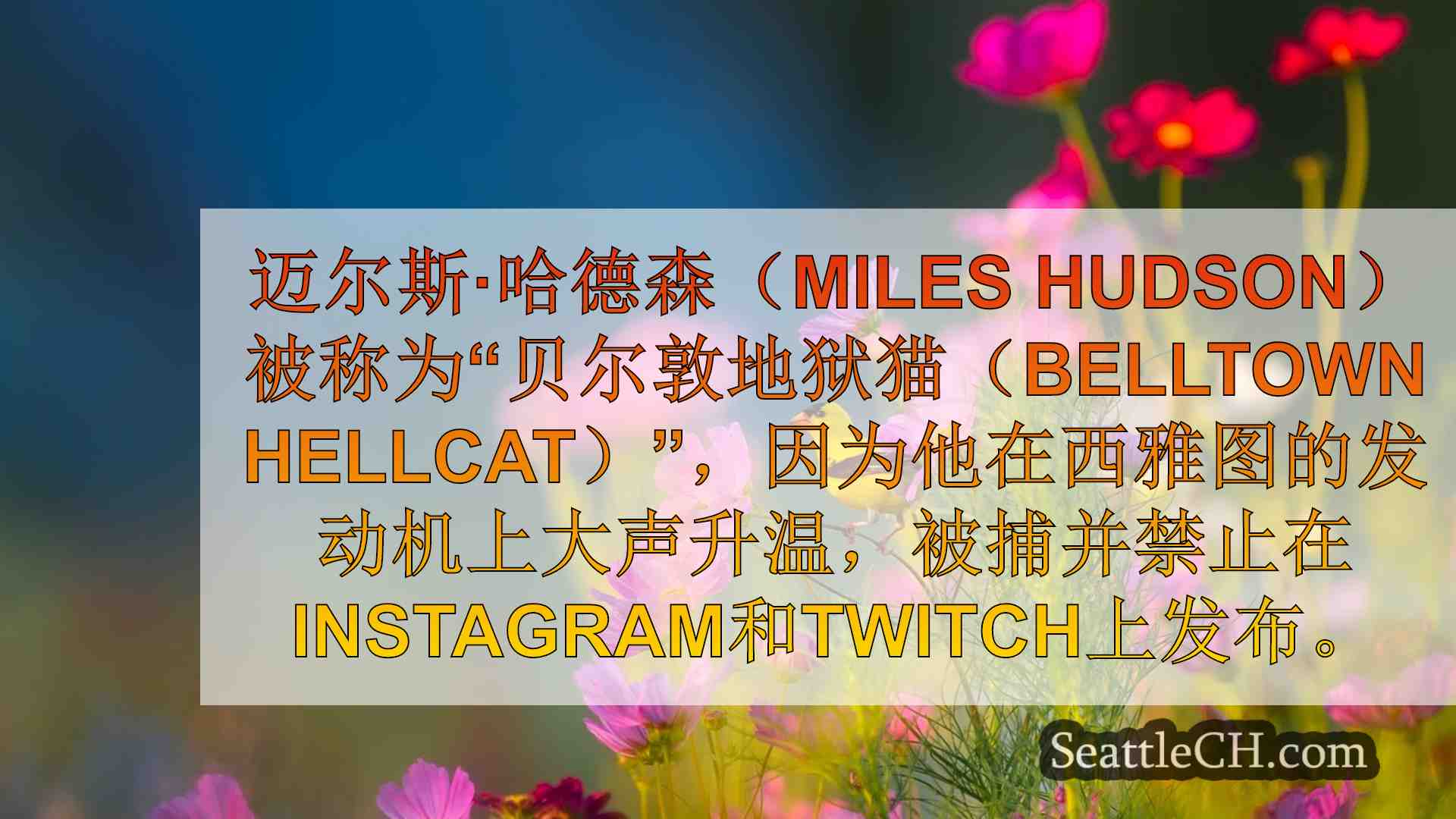 “贝尔敦地狱”在西雅图法院听证会上被捕，被禁止在Instagram上
