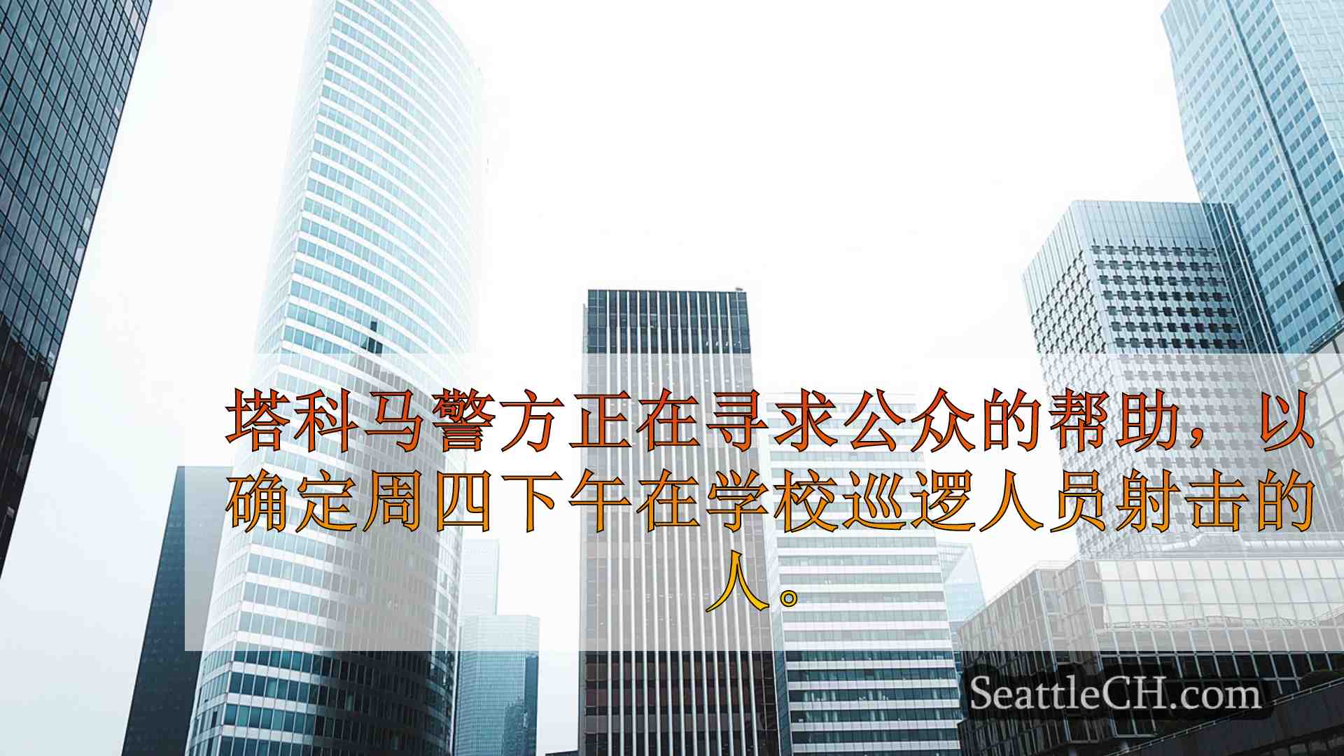 西雅图新闻 SeattleCH