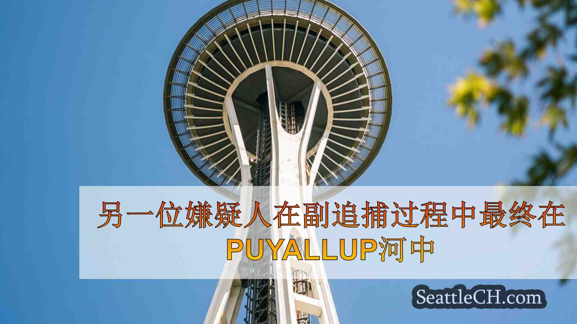 西雅图新闻 SeattleCH