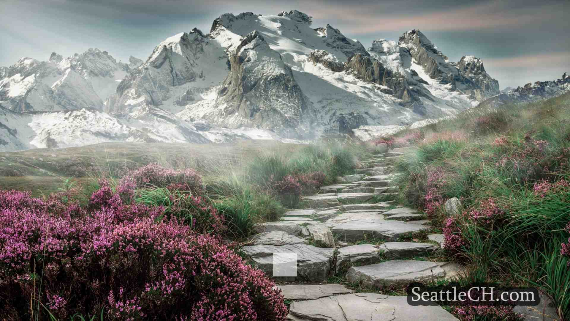 西雅图新闻 SeattleCH