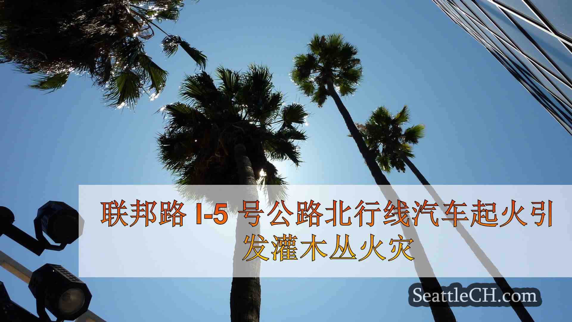 西雅图新闻 SeattleCH