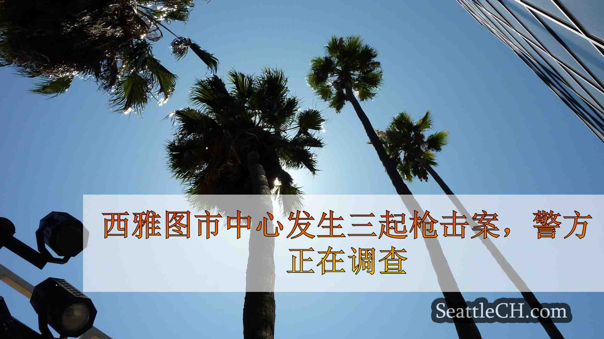 西雅图新闻 SeattleCH
