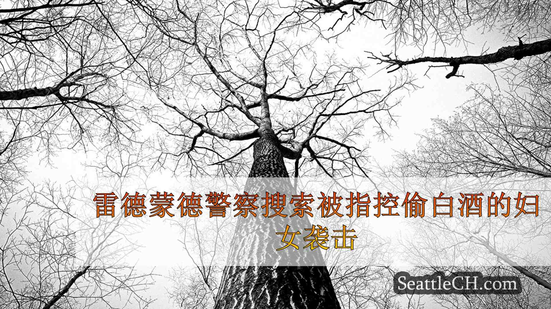 西雅图新闻 SeattleCH