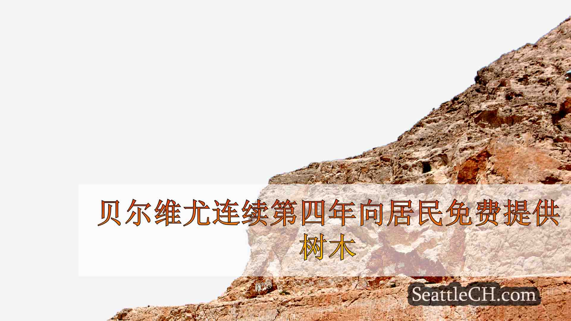 西雅图新闻 SeattleCH