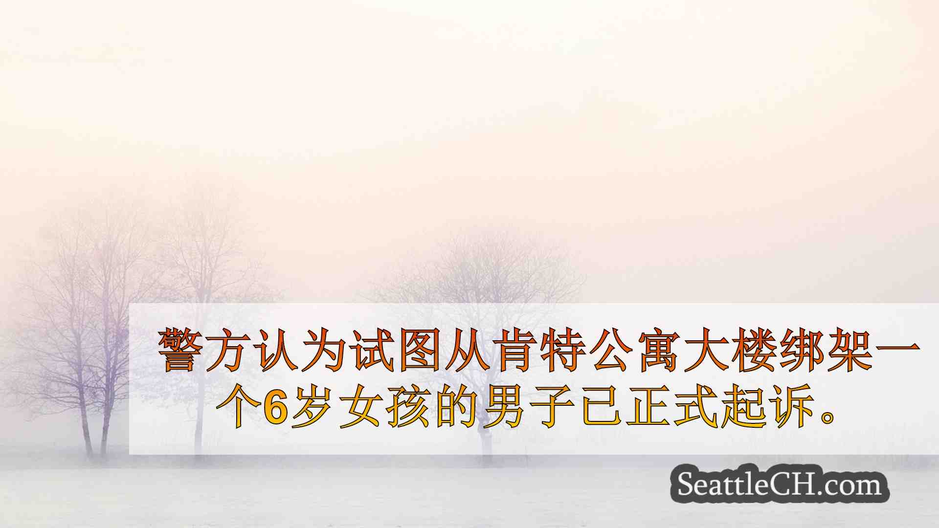 西雅图新闻 SeattleCH