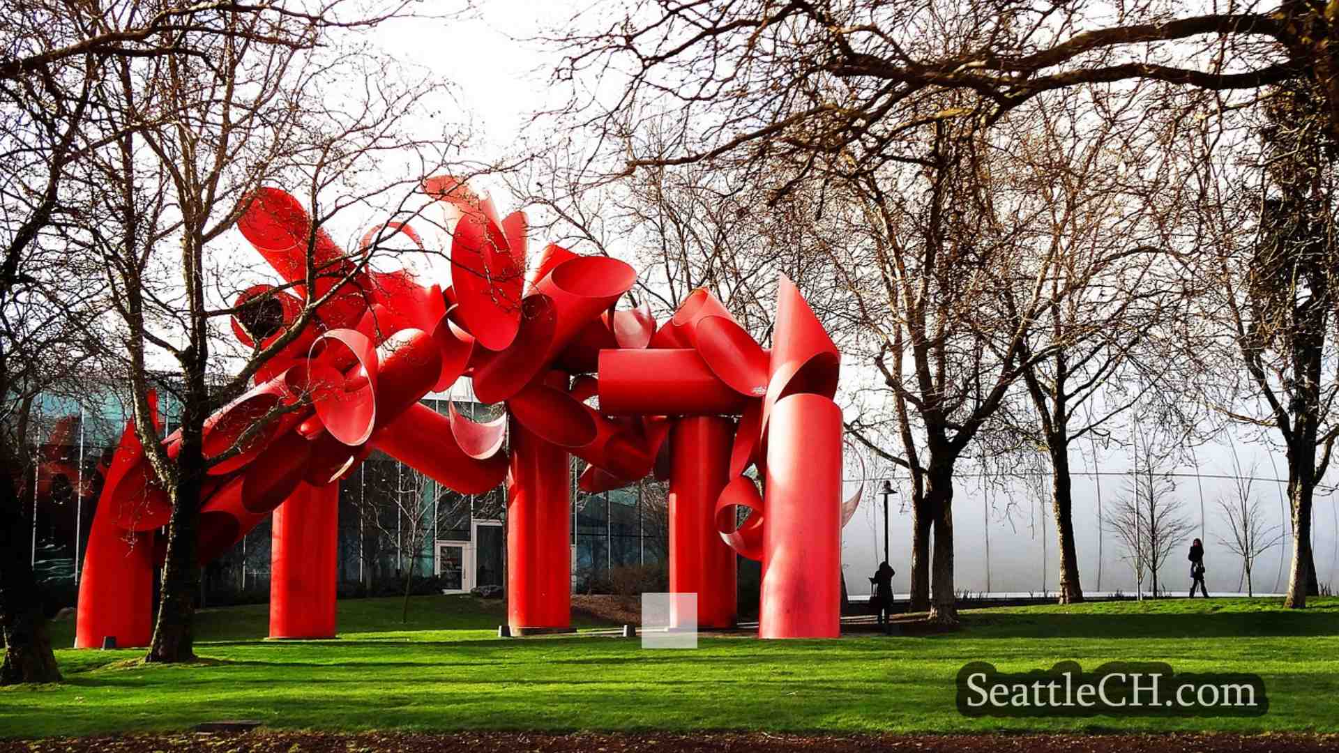西雅图新闻 SeattleCH