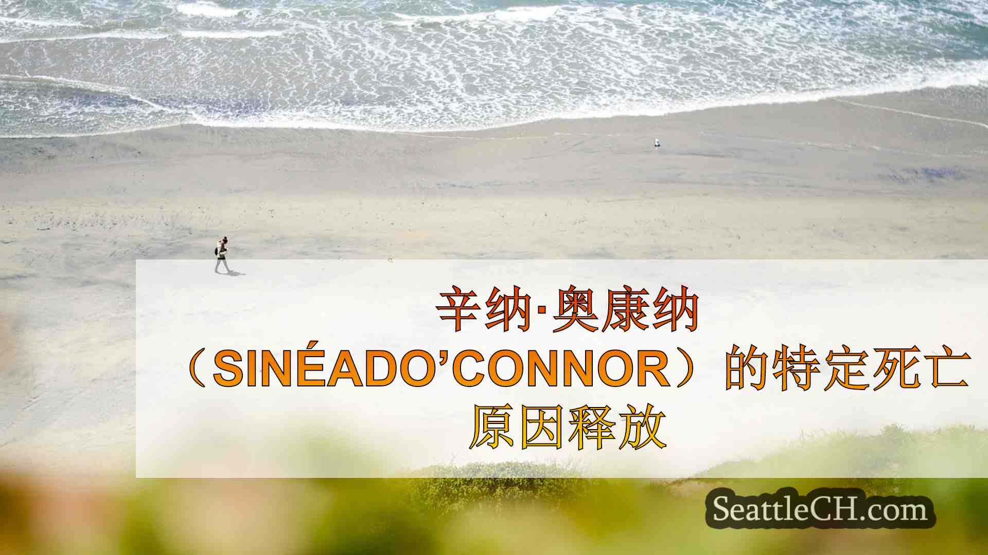 西雅图新闻 SeattleCH