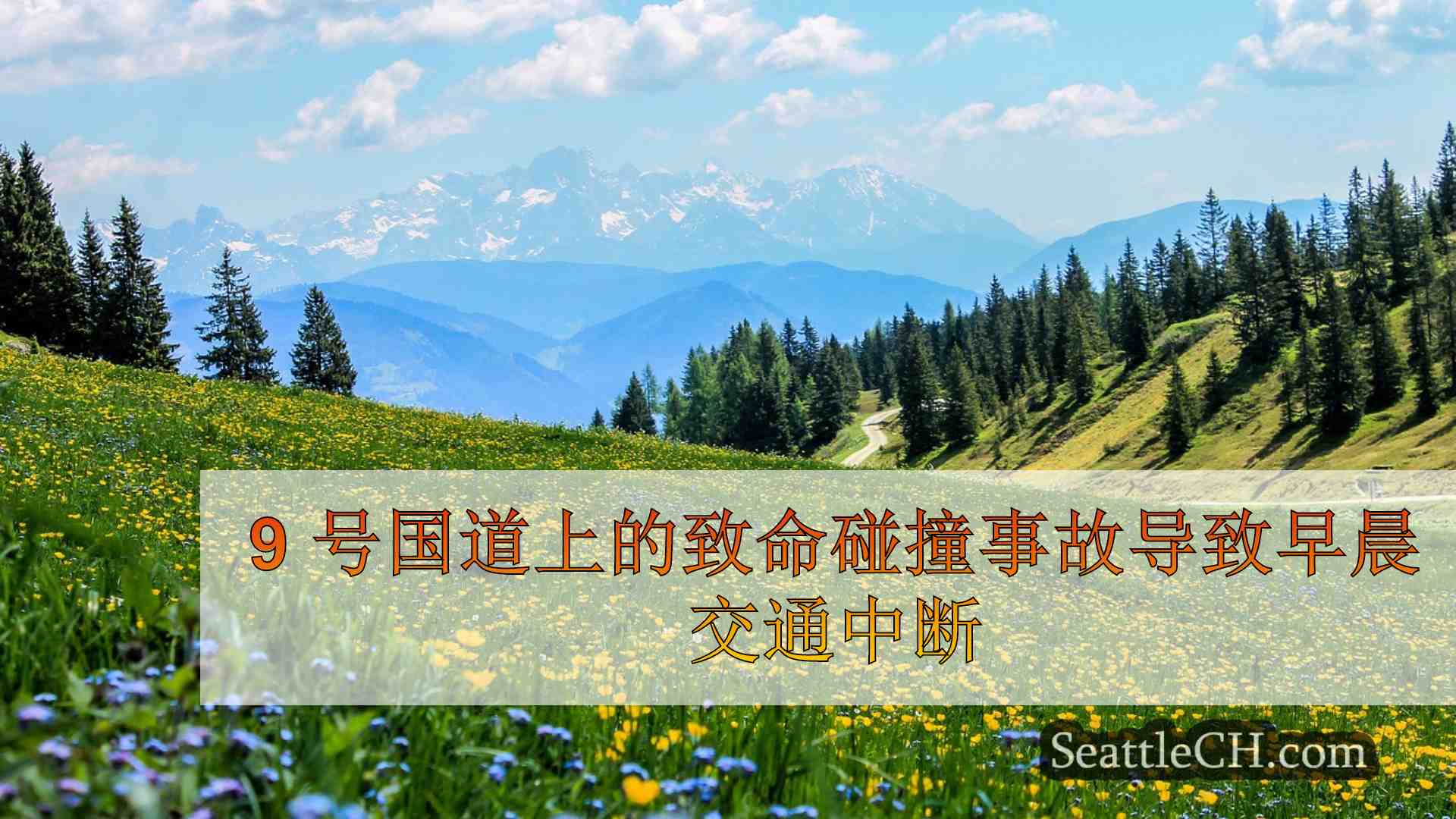 西雅图新闻 SeattleCH