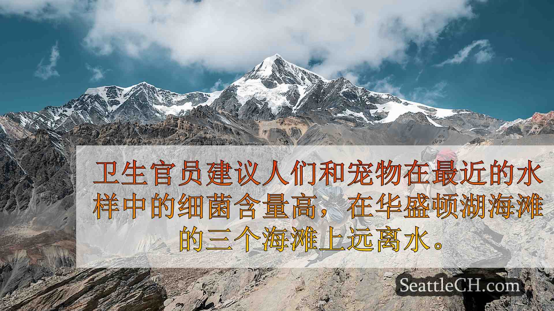 西雅图新闻 SeattleCH