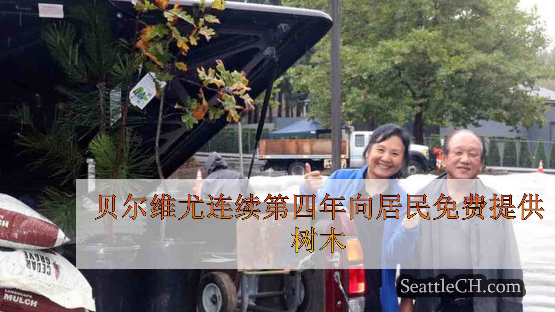 贝尔维尤连续第四年向居民免费提供树木