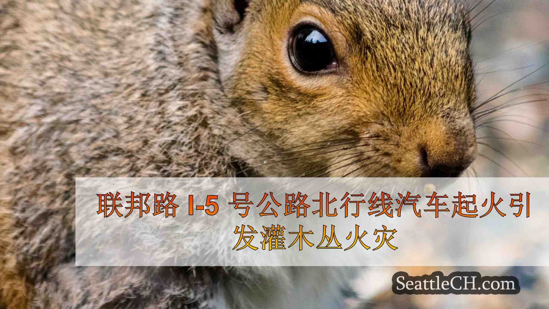 西雅图新闻 SeattleCH