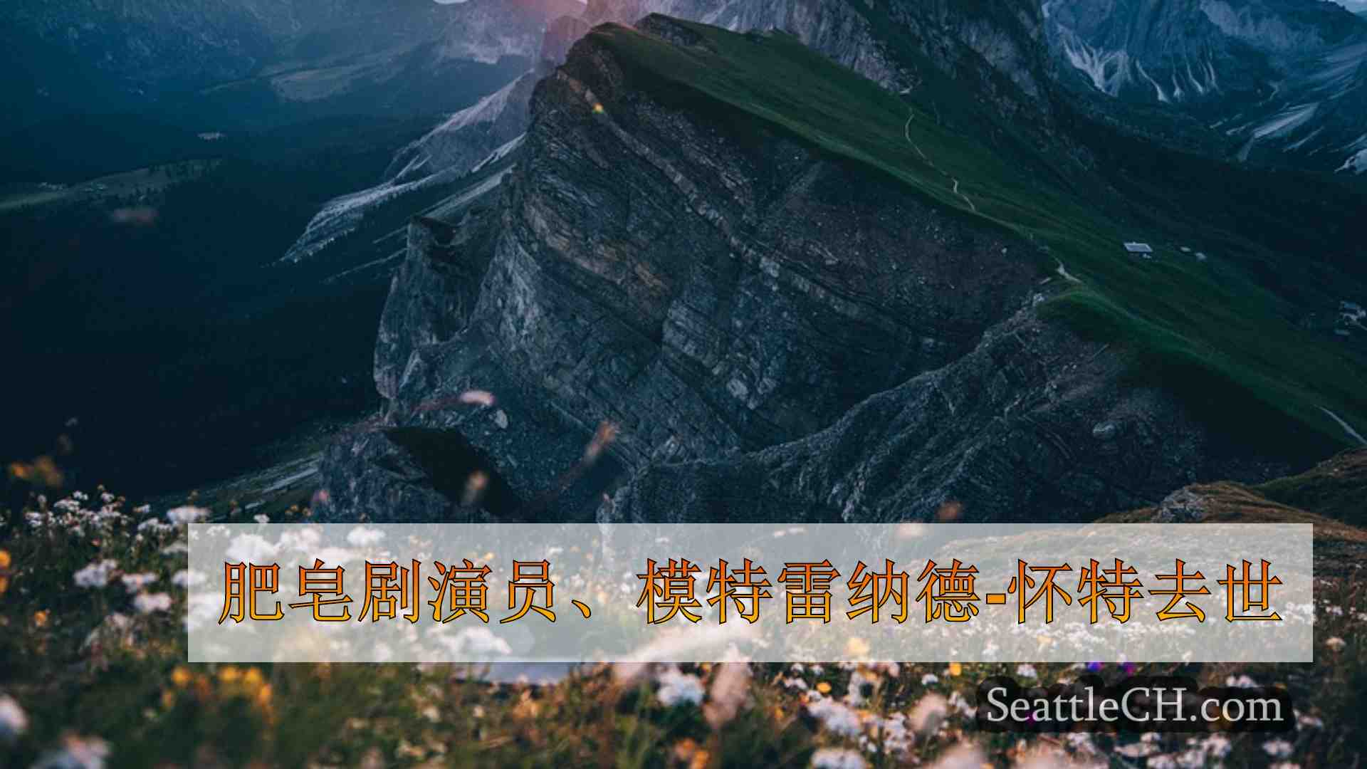 西雅图新闻 SeattleCH