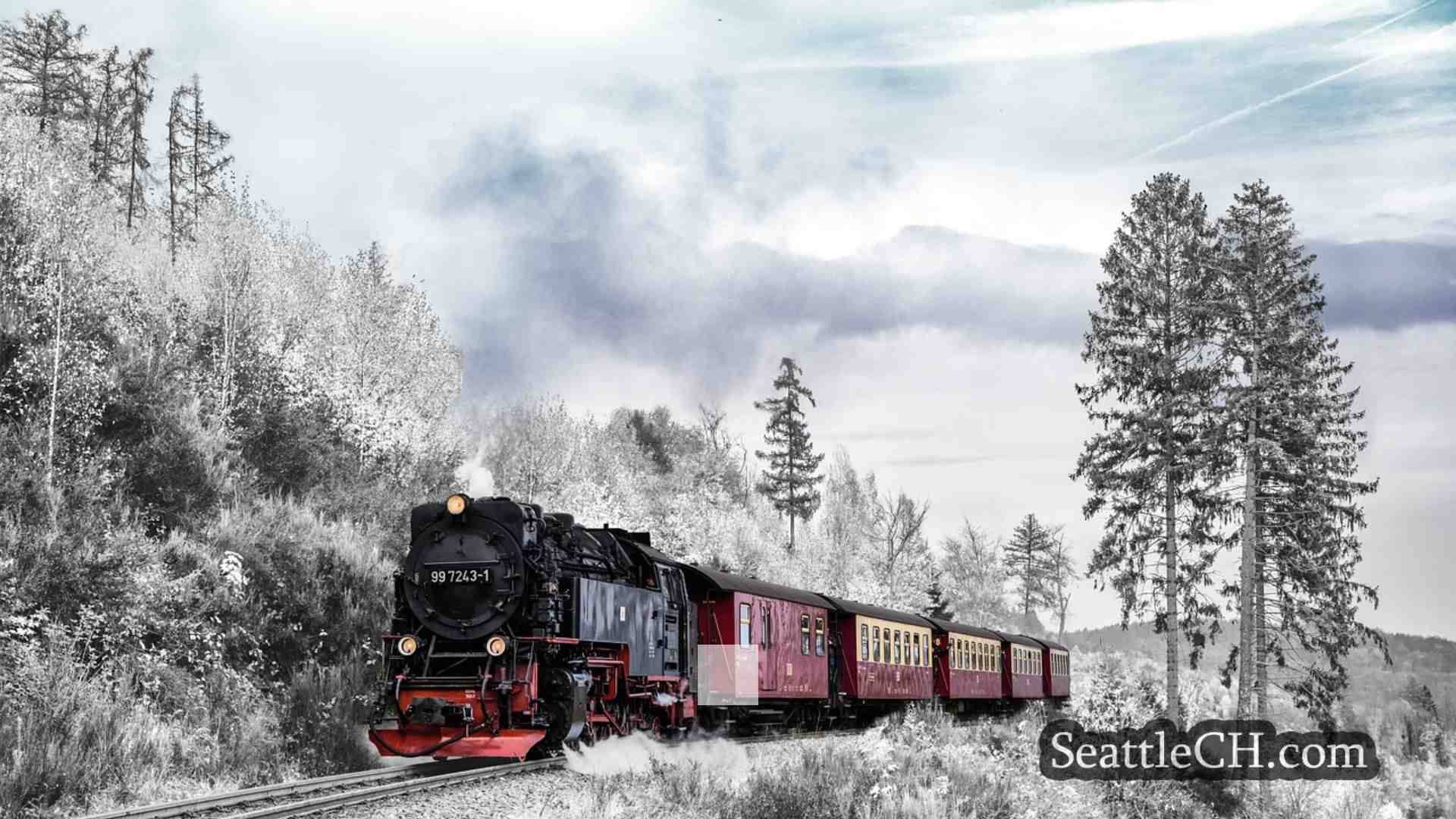 西雅图新闻 SeattleCH