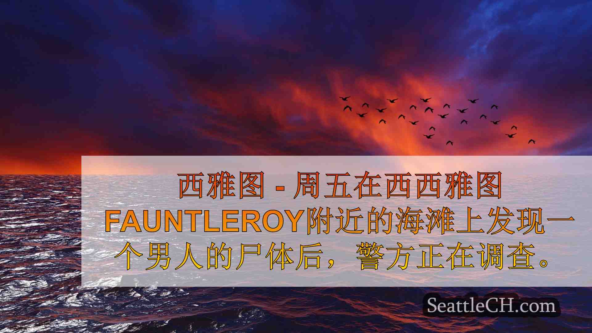 西雅图新闻 SeattleCH