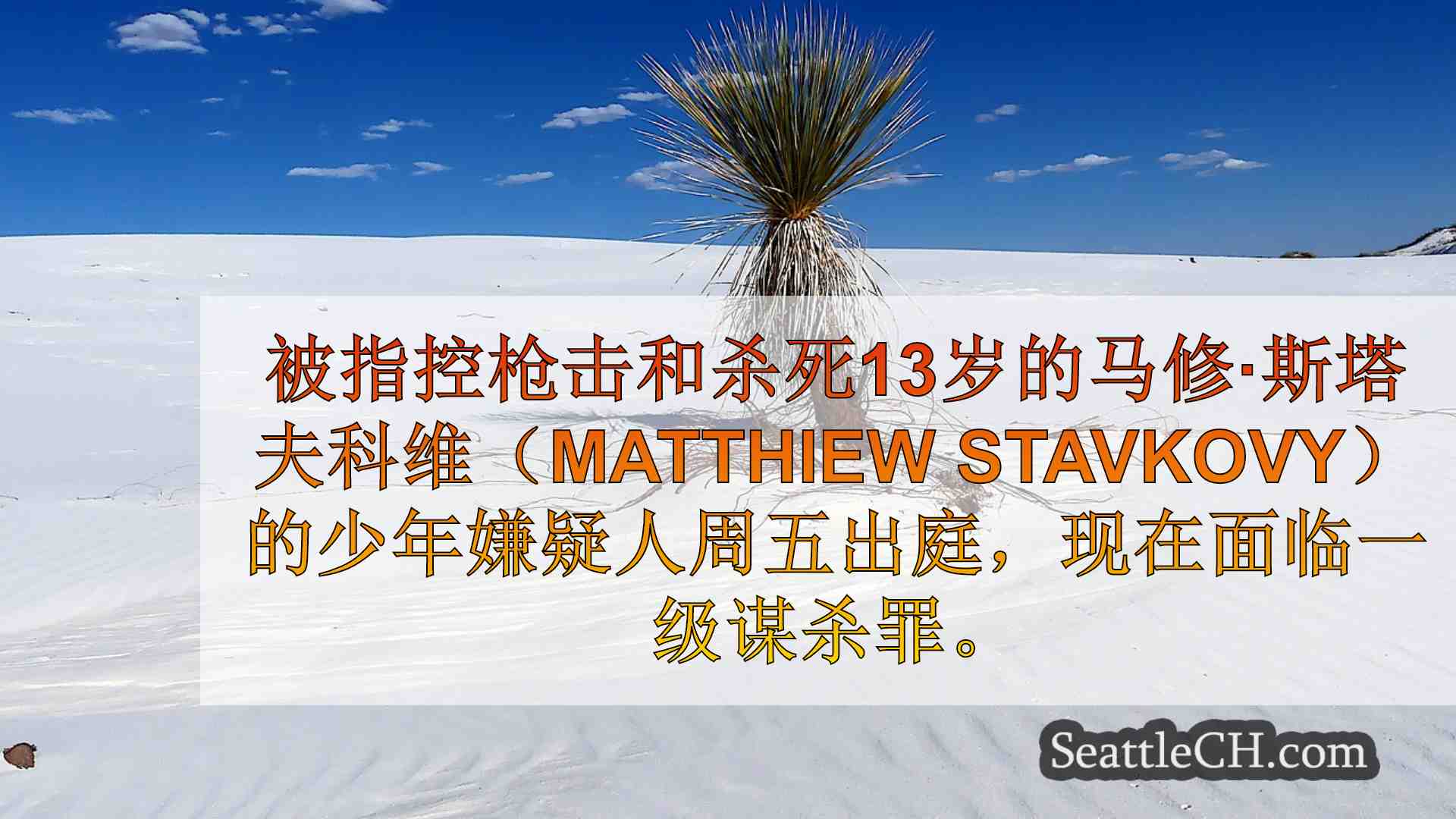 西雅图新闻 SeattleCH