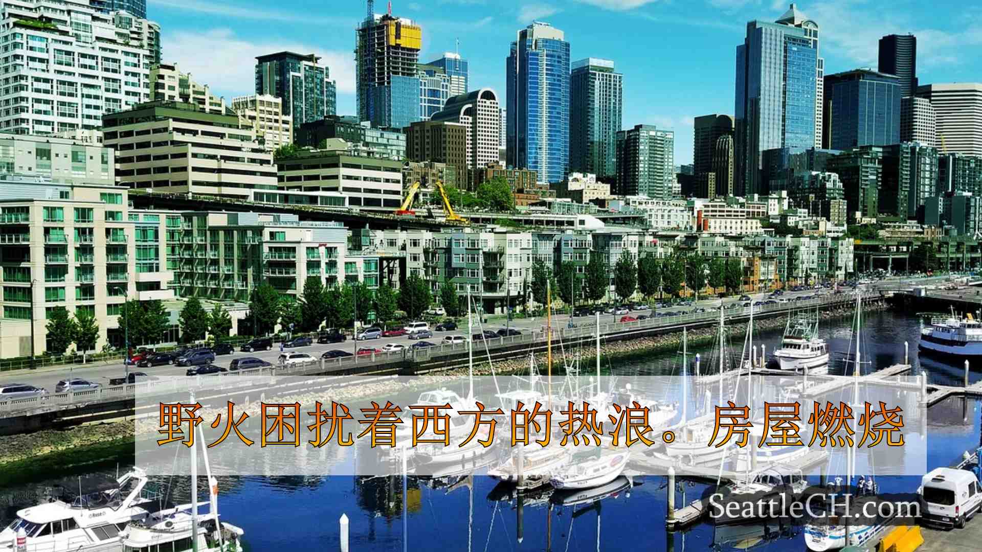 西雅图新闻 SeattleCH