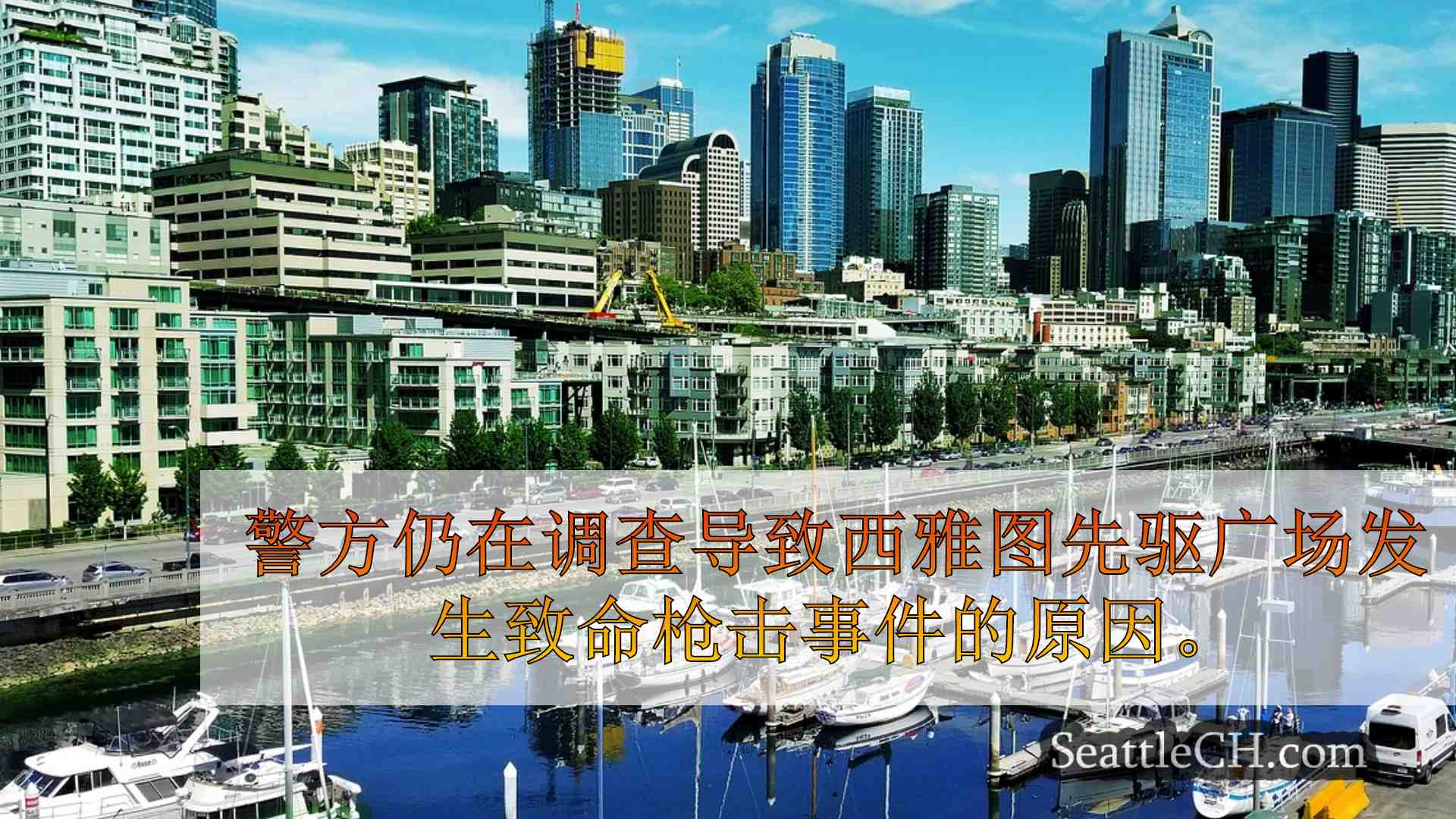 西雅图新闻 SeattleCH