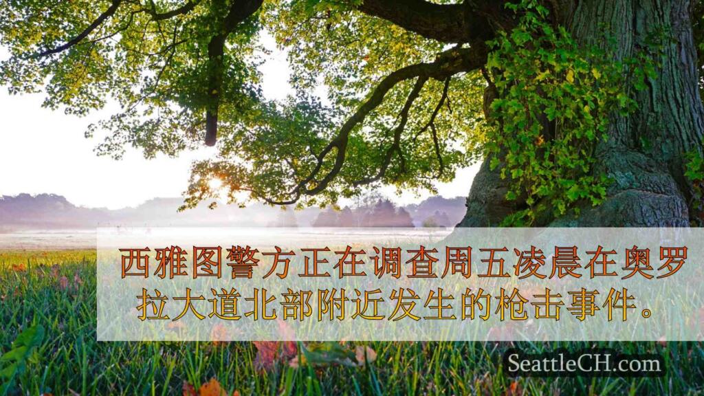 在北西雅图开枪射击后，警方调查电锯威胁
