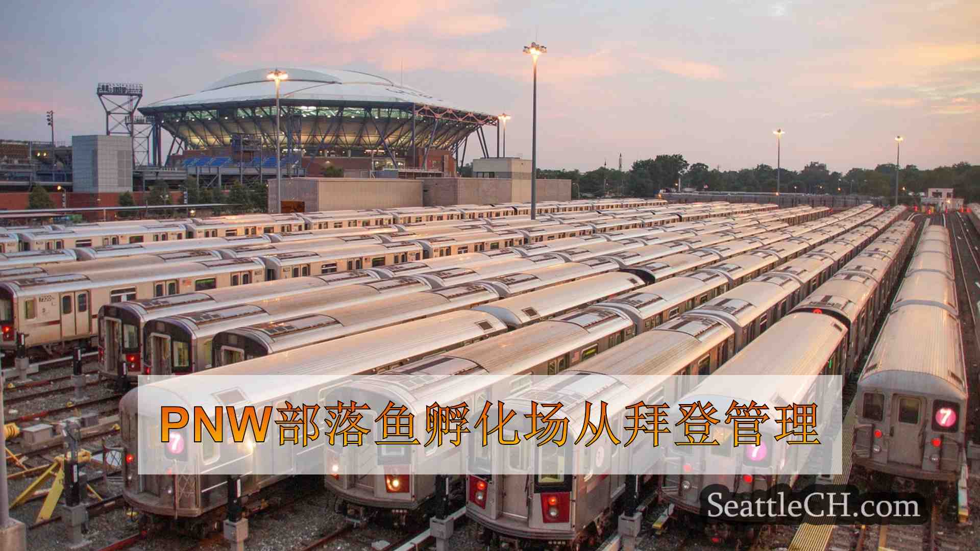 西雅图新闻 SeattleCH